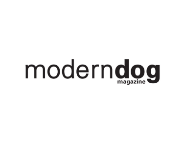 modern dog